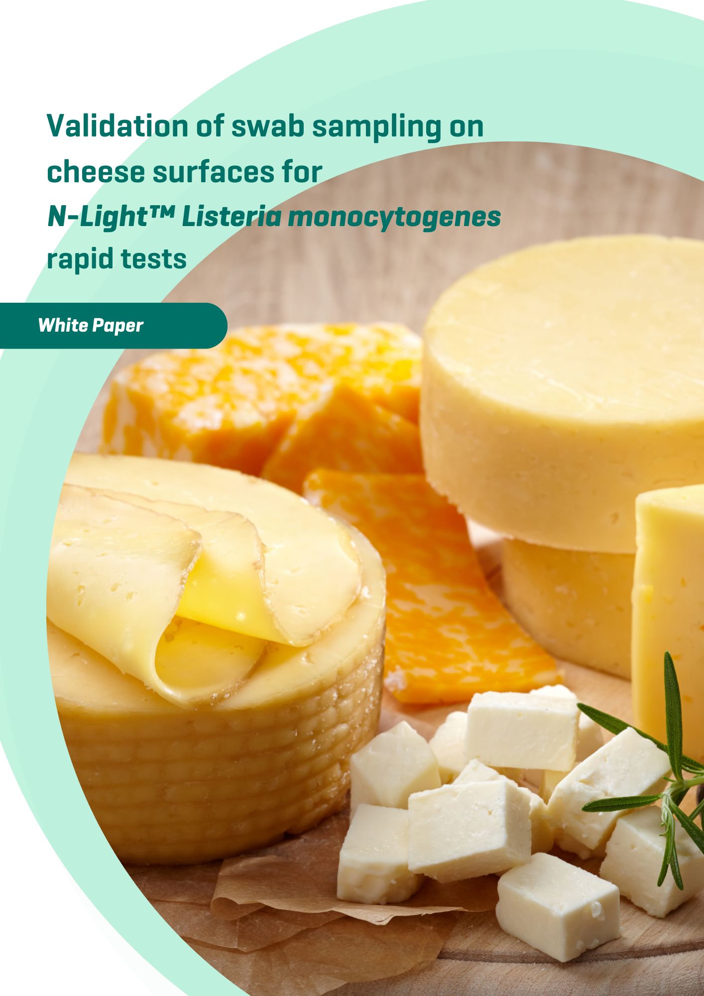 N-Light Lmono_Swab Test_Cheese.pdf N-Light Lmono_Swab Test_Cheese.pdf